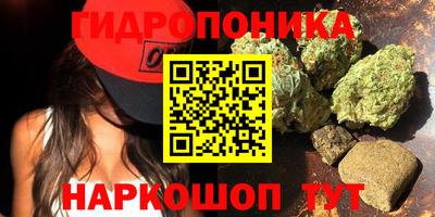 СК Нягань