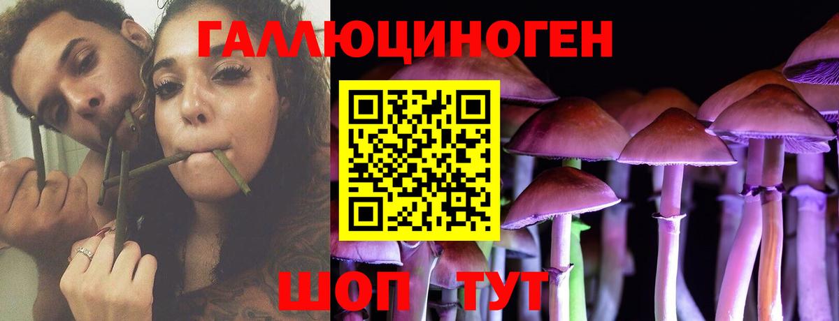 купить наркотик  Галлюциногенные грибы мицелий  Россошь  Вход с VPN  Галлюциногенные грибы ЛСД 